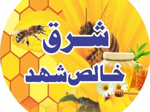 Store Banner